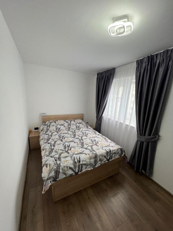 Sica Guesthouse Borşa Exterior foto